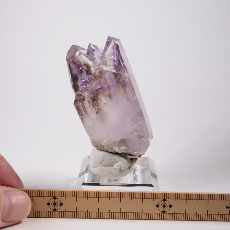 �ᥭ������ �����ꥢ�᥷����