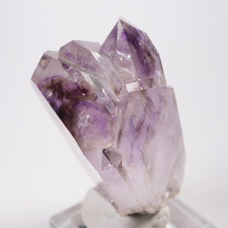 �ᥭ������ �����ꥢ�᥷����