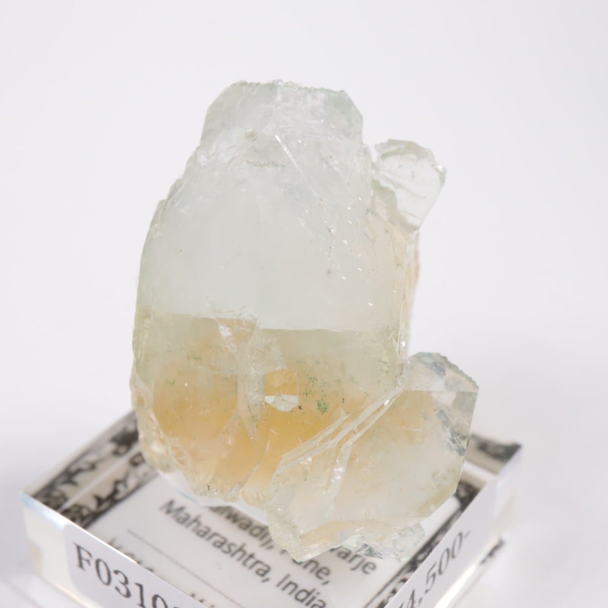 ����ɻ� ���ݥե��饤��