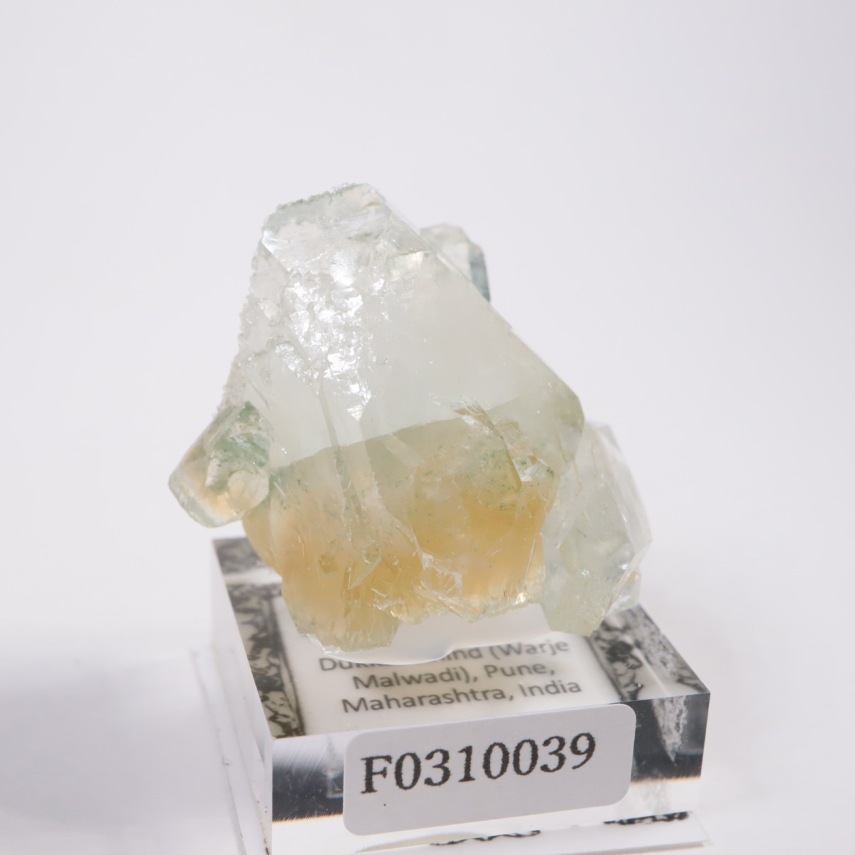 ����ɻ� ���ݥե��饤��