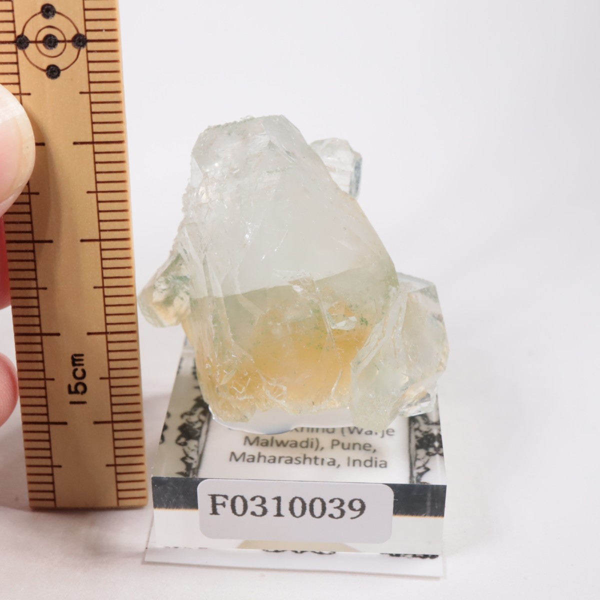 ����ɻ� ���ݥե��饤��