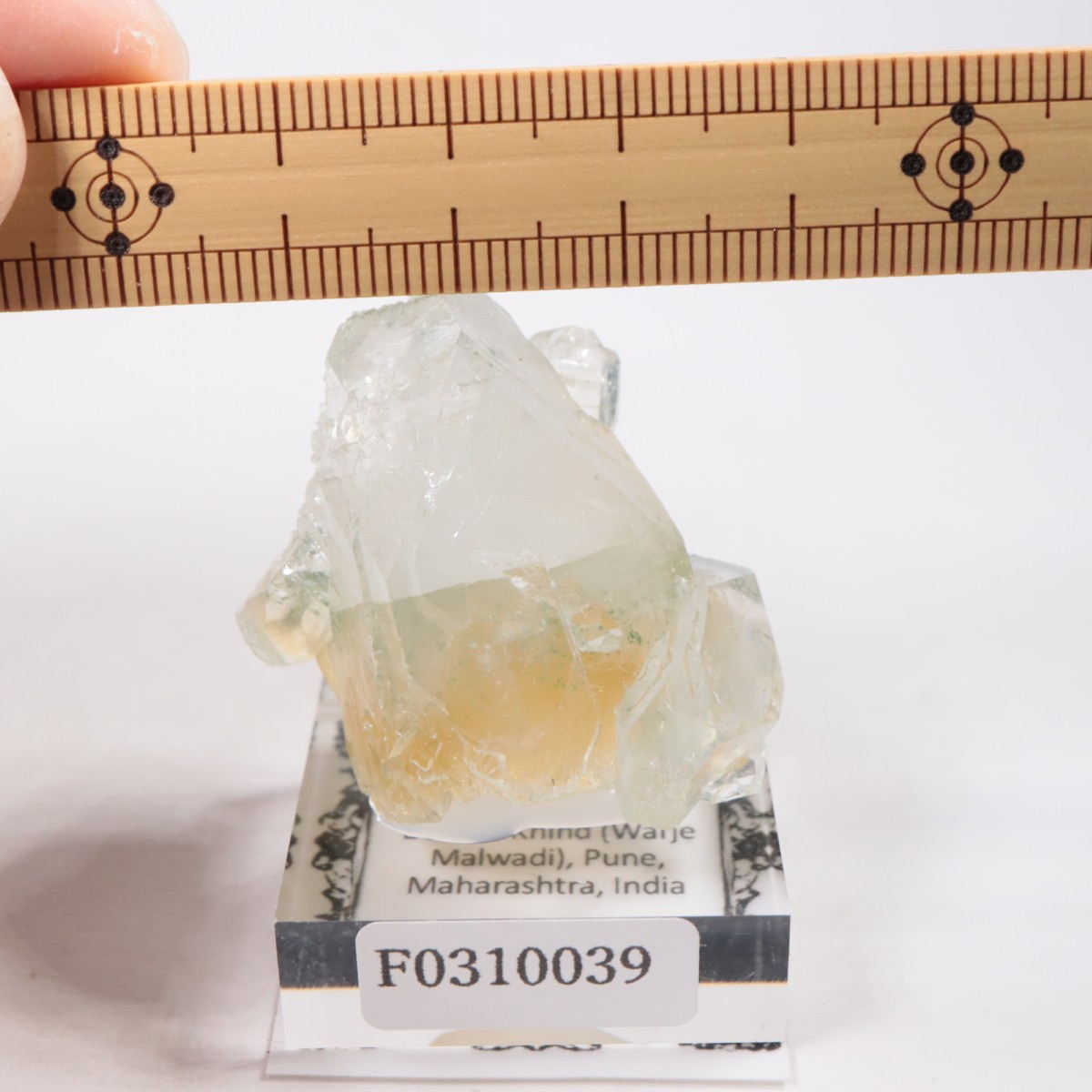 ����ɻ� ���ݥե��饤��