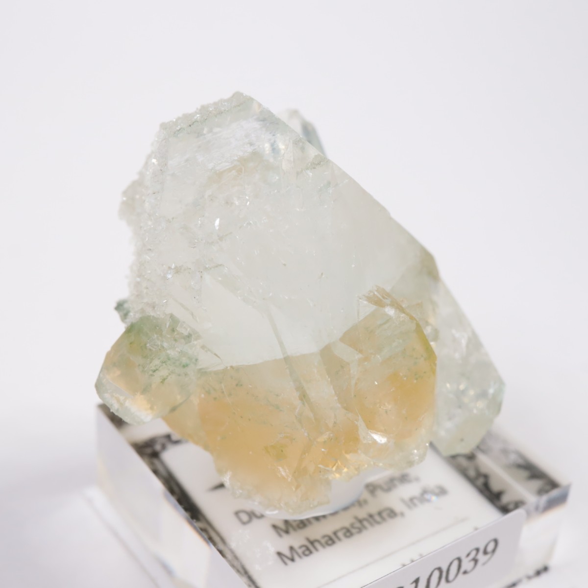 ����ɻ� ���ݥե��饤��