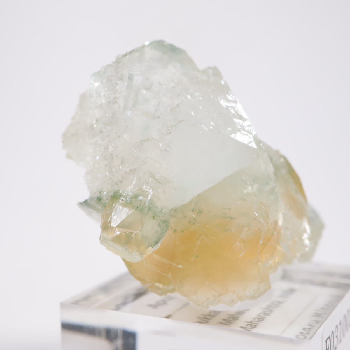 ����ɻ� ���ݥե��饤��