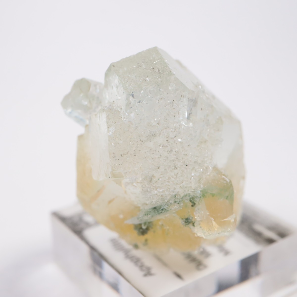 ����ɻ� ���ݥե��饤��