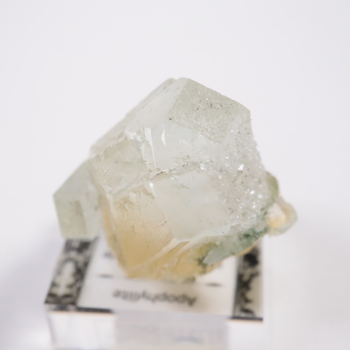 ����ɻ� ���ݥե��饤��