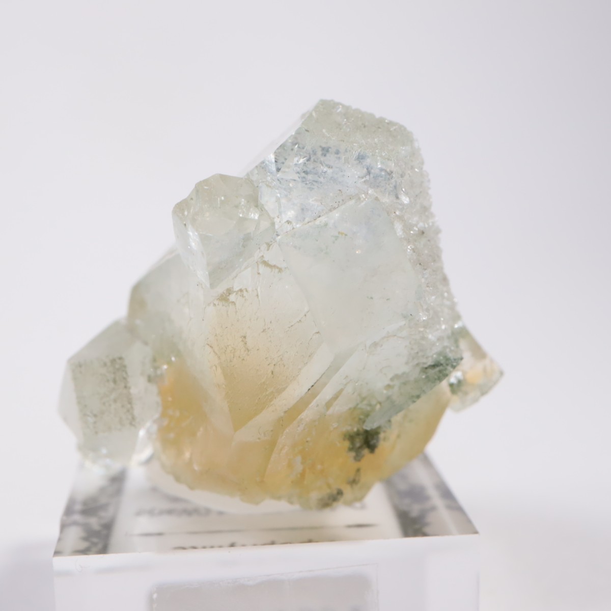 ����ɻ� ���ݥե��饤��