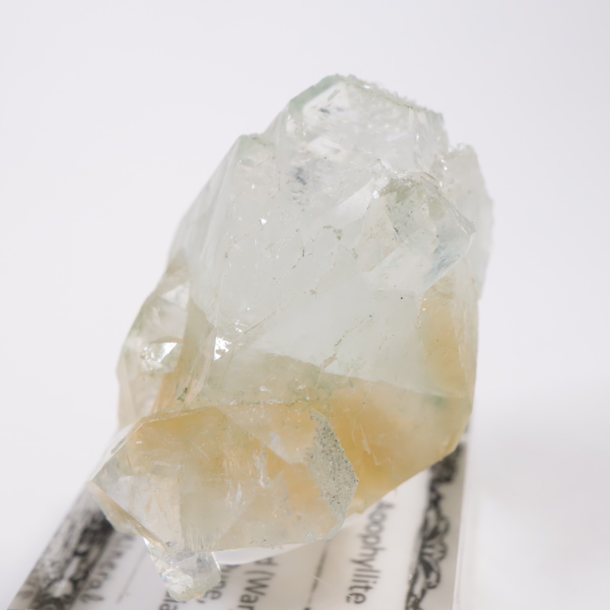 ����ɻ� ���ݥե��饤��