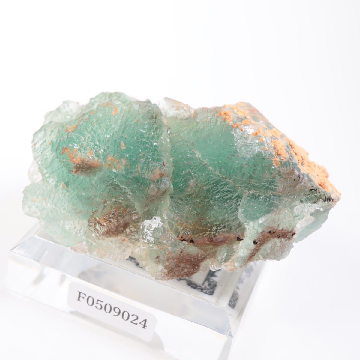 �˥塼�ᥭ������ �ե����饤��