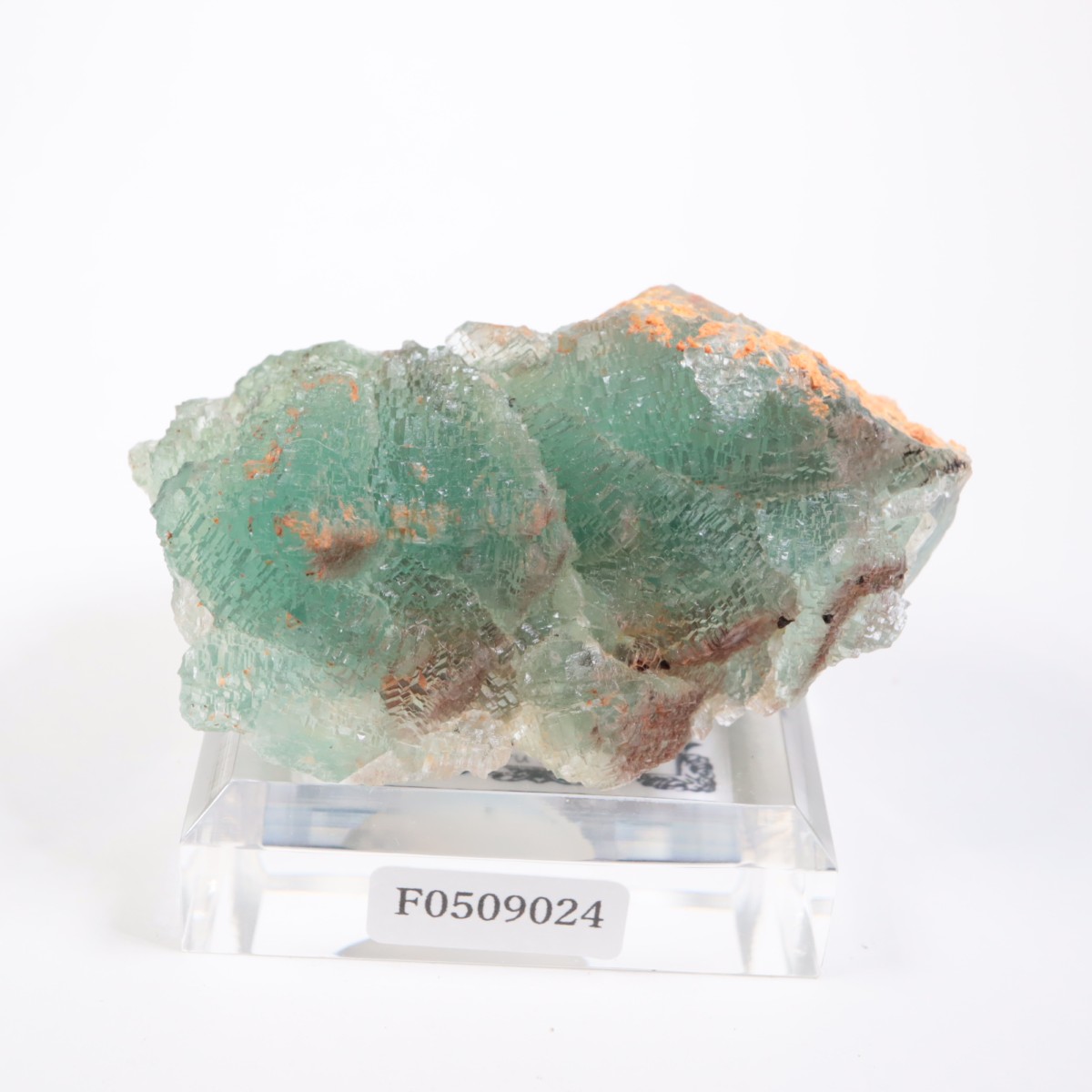 �˥塼�ᥭ������ �ե����饤��