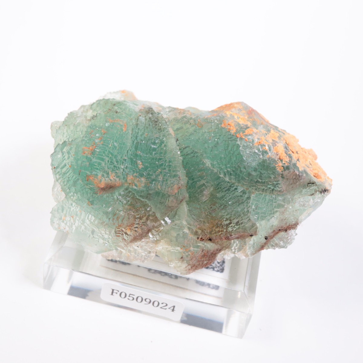 �˥塼�ᥭ������ �ե����饤��