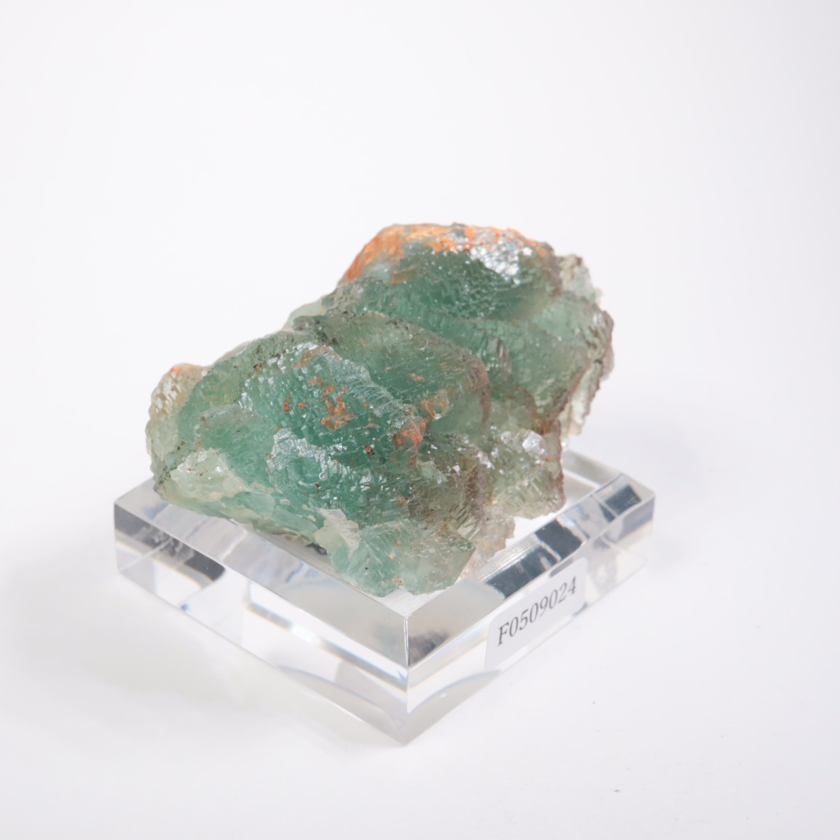 �˥塼�ᥭ������ �ե����饤��