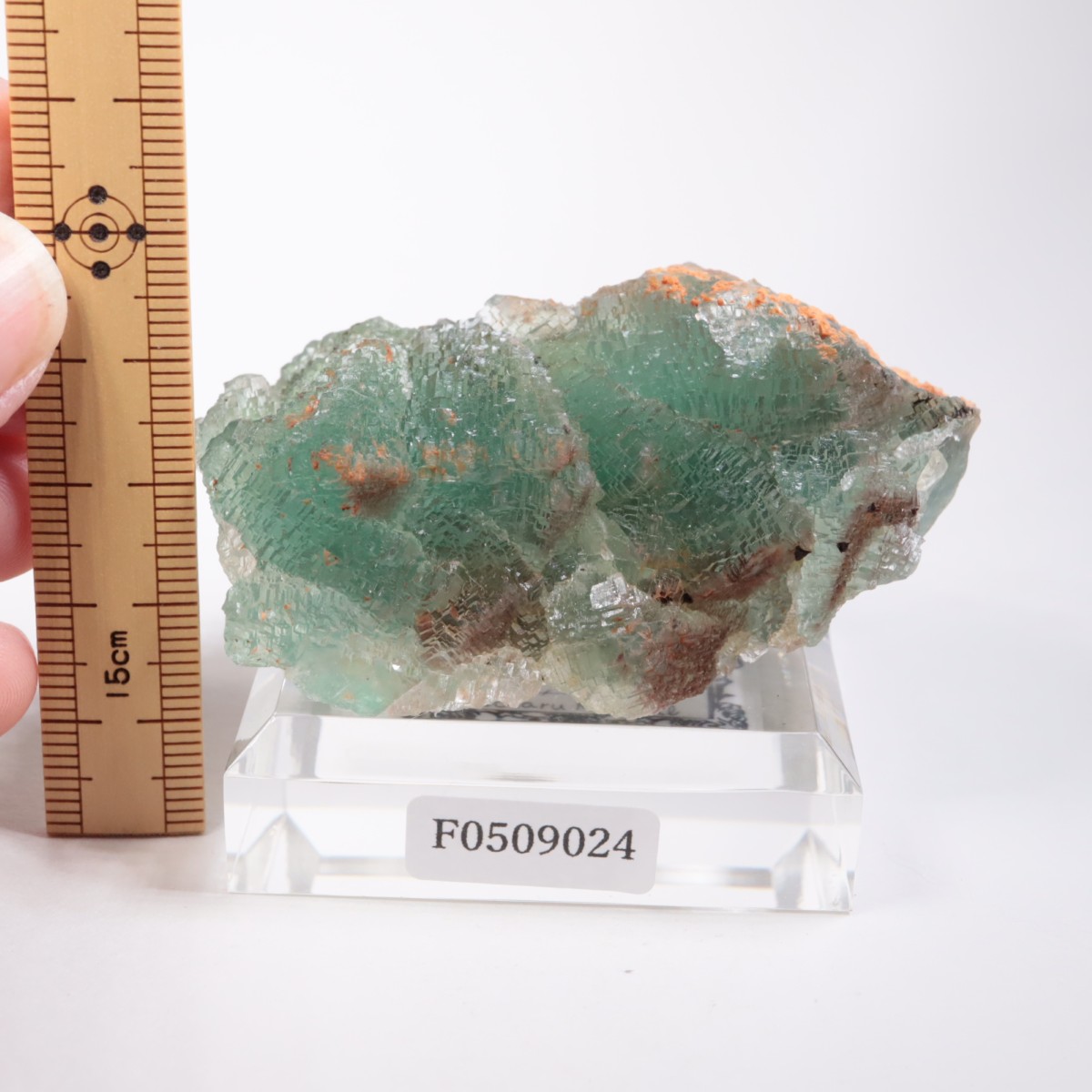 �˥塼�ᥭ������ �ե����饤��