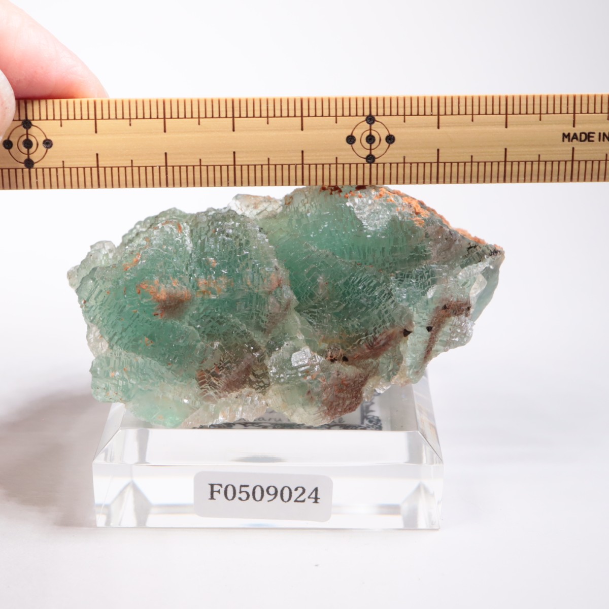 �˥塼�ᥭ������ �ե����饤��