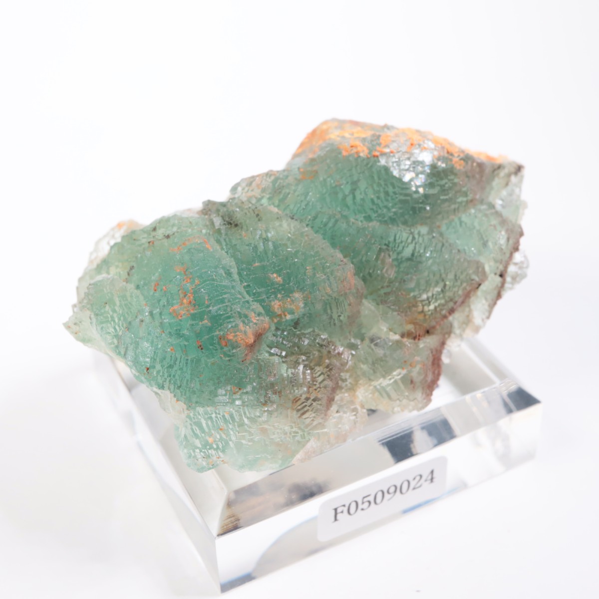 �˥塼�ᥭ������ �ե����饤��