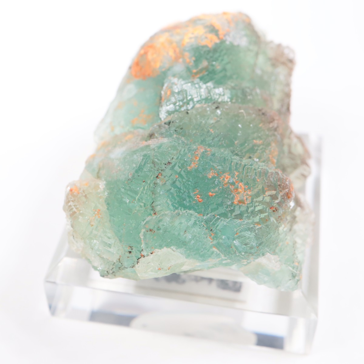 �˥塼�ᥭ������ �ե����饤��