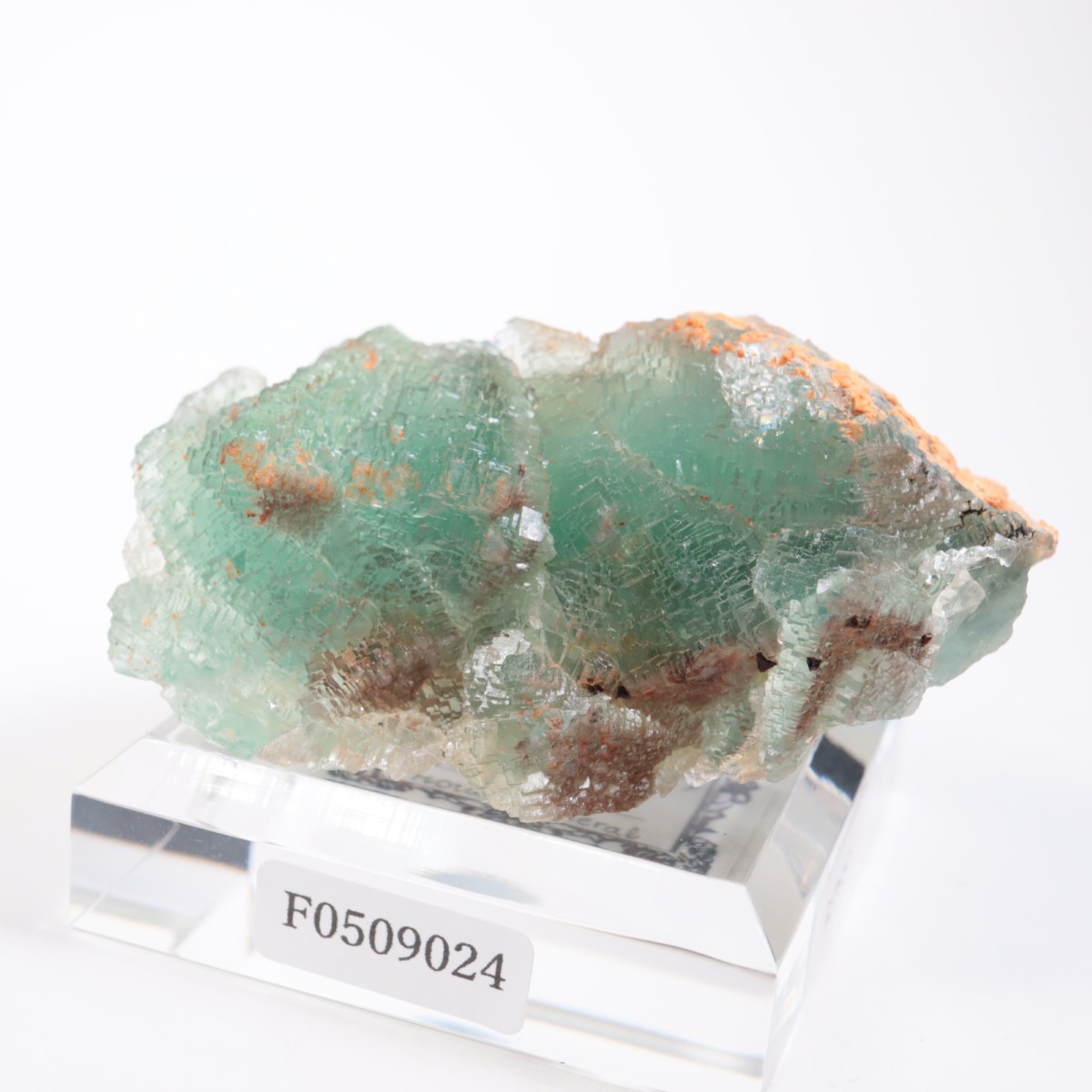 �˥塼�ᥭ������ �ե����饤��