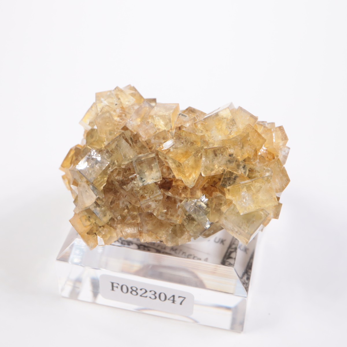 �ҥ�ȥ�ۻ� �ե����饤��