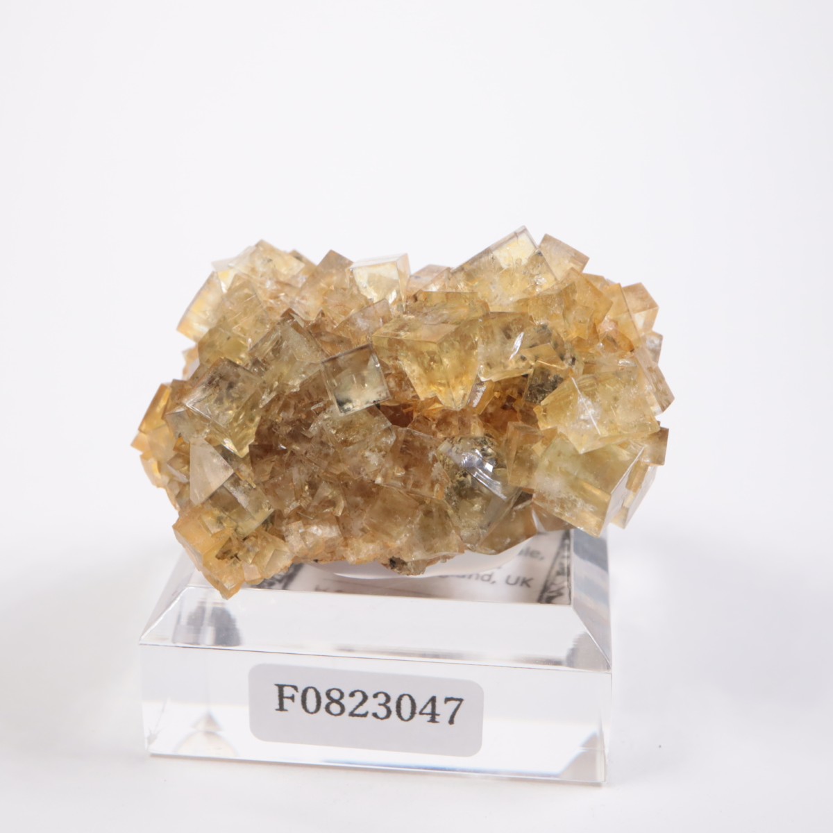 �ҥ�ȥ�ۻ� �ե����饤��