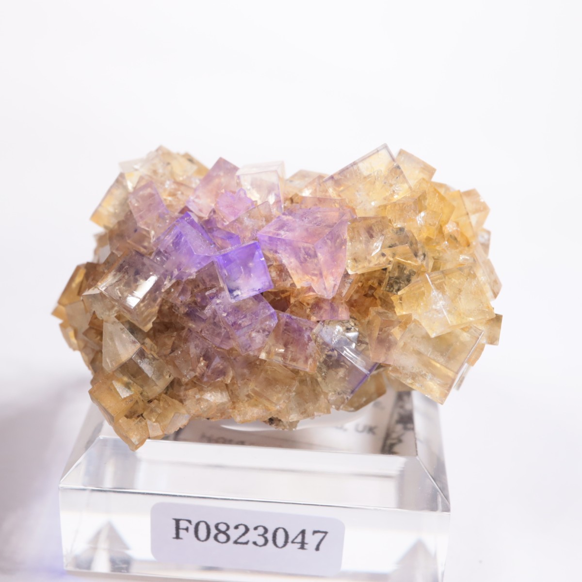 �ҥ�ȥ�ۻ� �ե����饤��