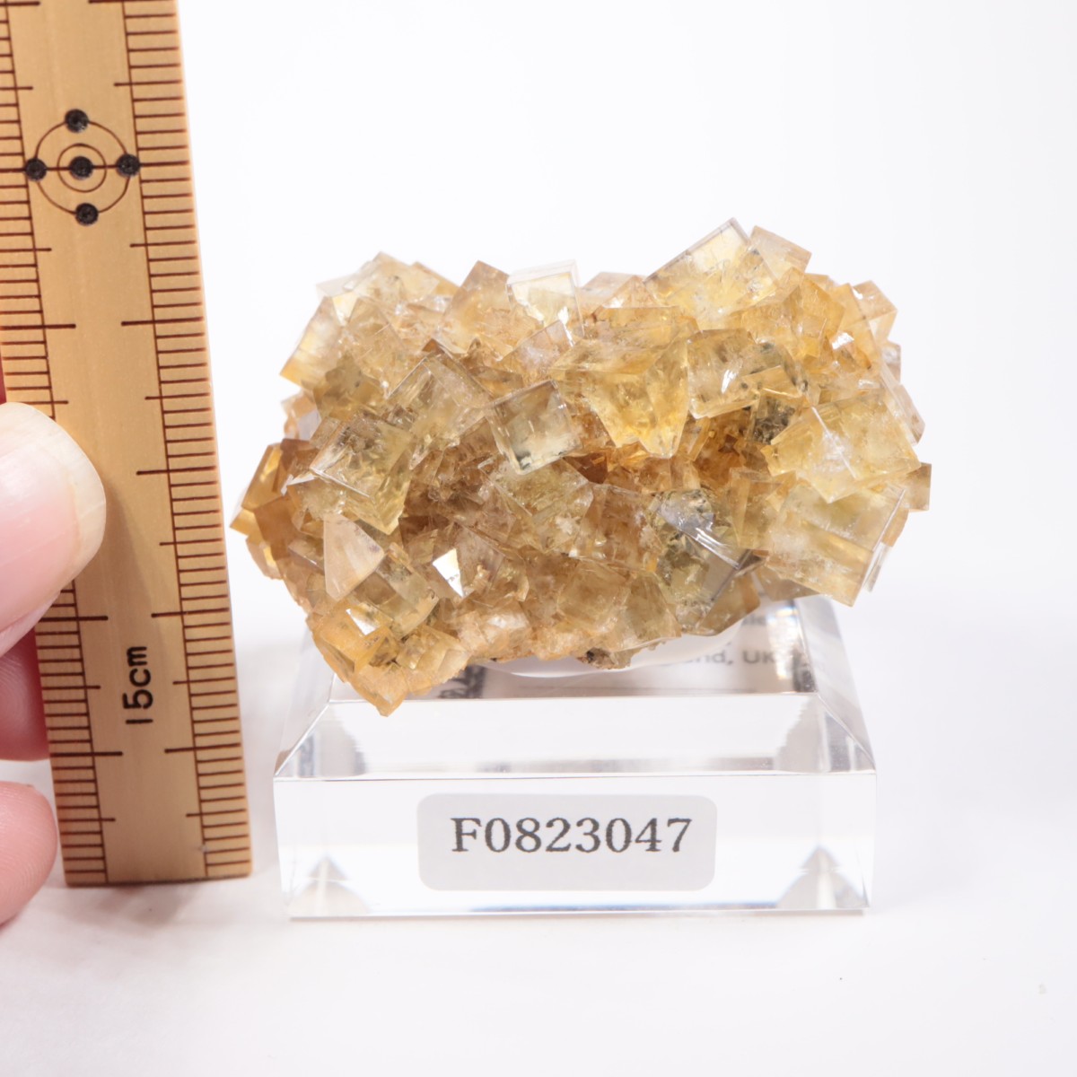 �ҥ�ȥ�ۻ� �ե����饤��