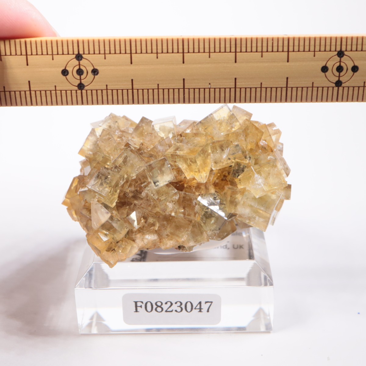 �ҥ�ȥ�ۻ� �ե����饤��