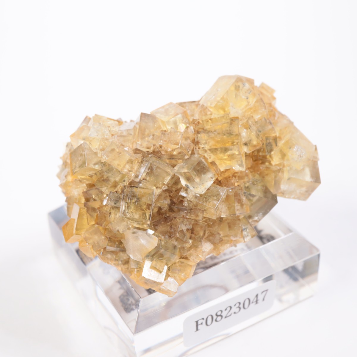 �ҥ�ȥ�ۻ� �ե����饤��