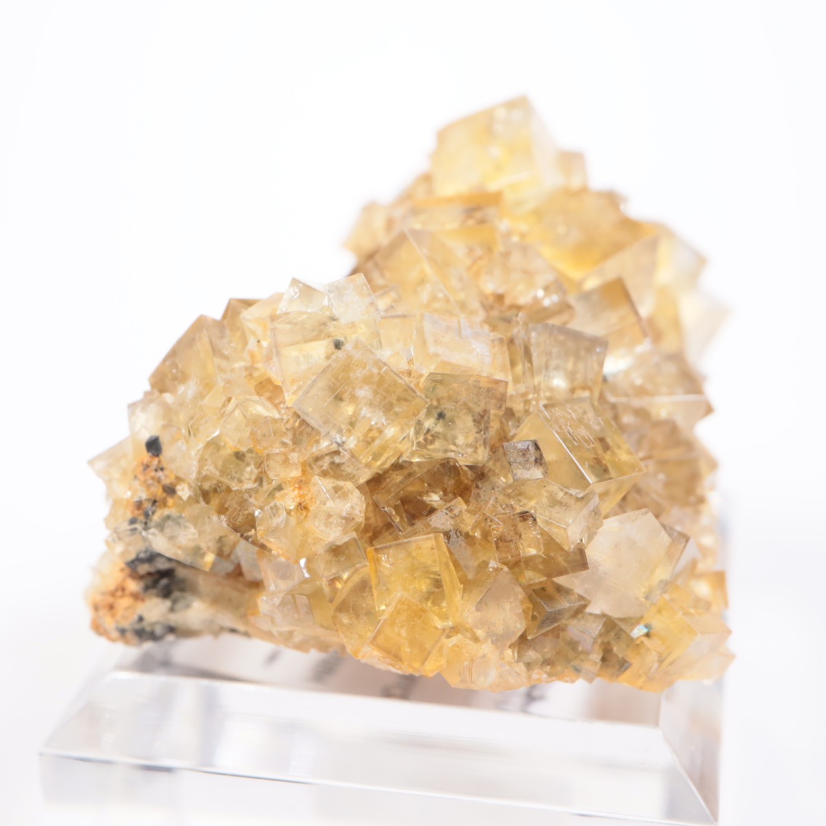 �ҥ�ȥ�ۻ� �ե����饤��