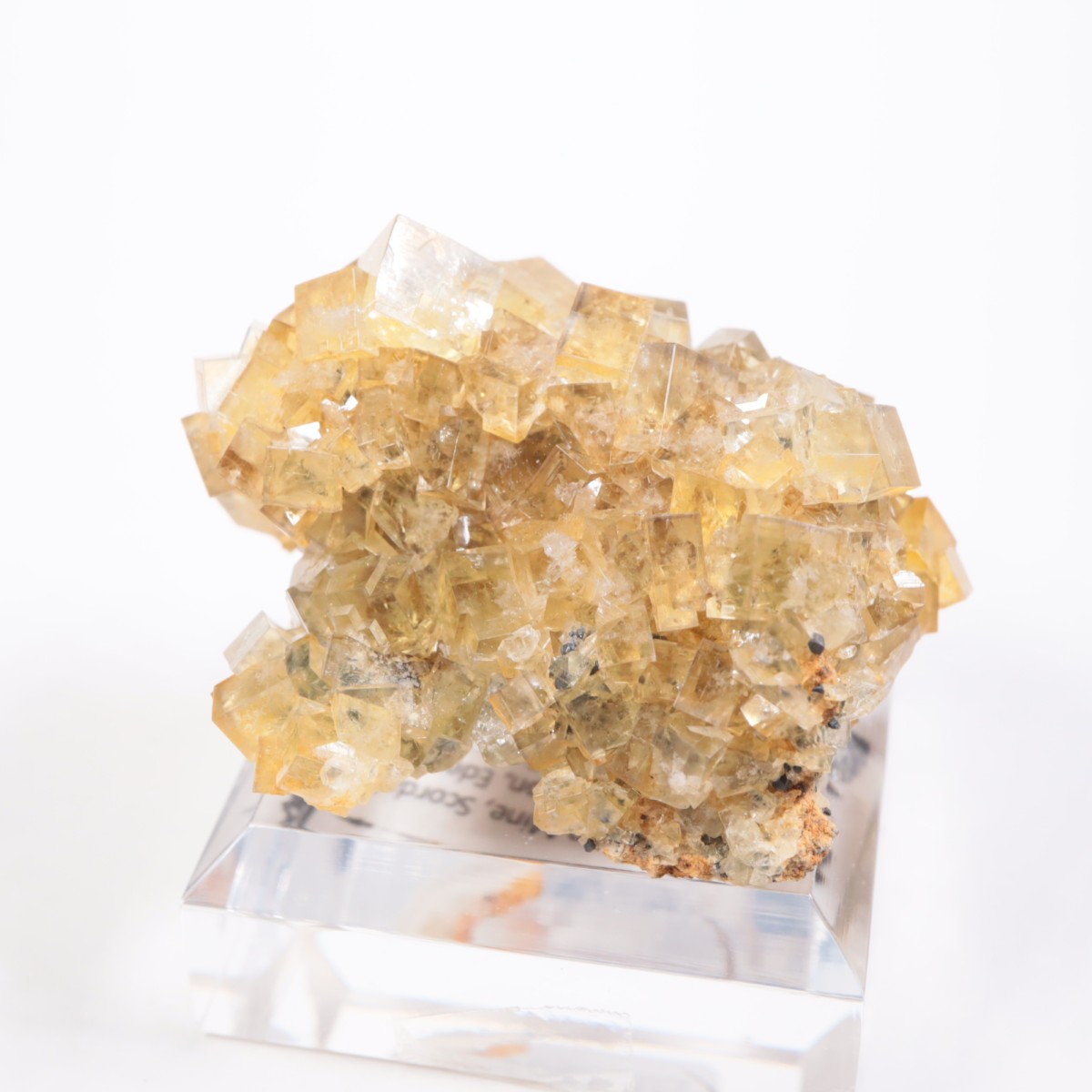 �ҥ�ȥ�ۻ� �ե����饤��