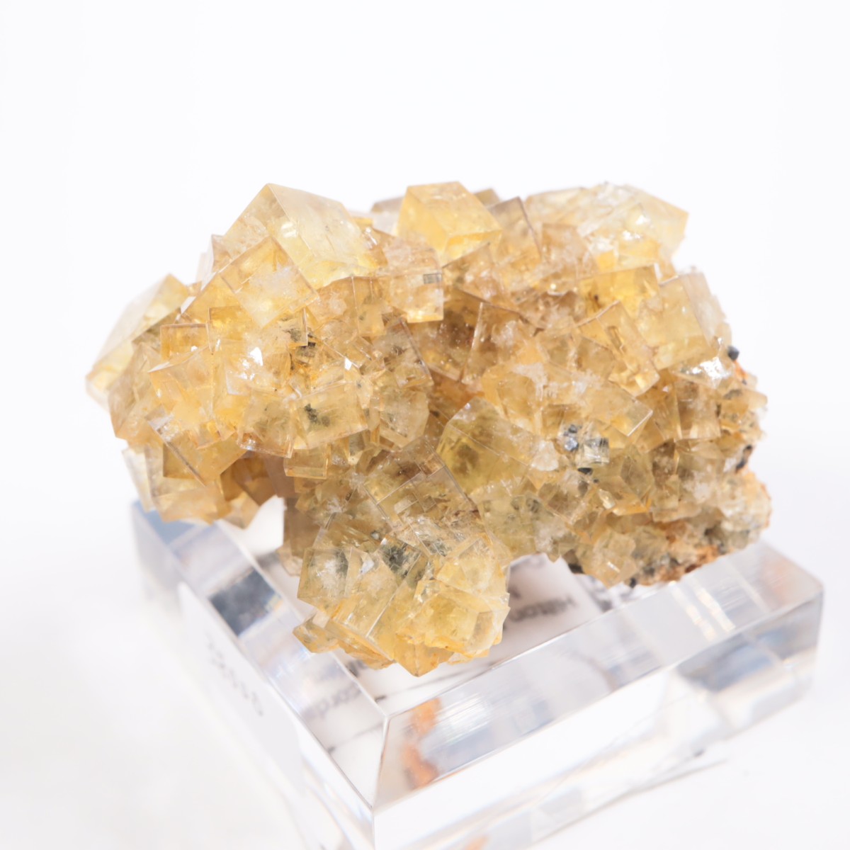 �ҥ�ȥ�ۻ� �ե����饤��