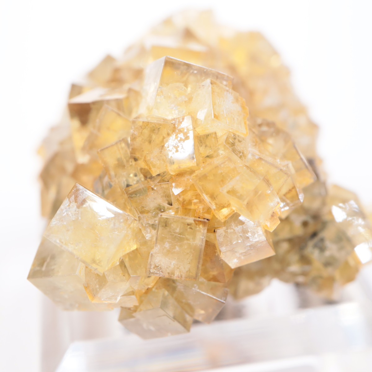 �ҥ�ȥ�ۻ� �ե����饤��