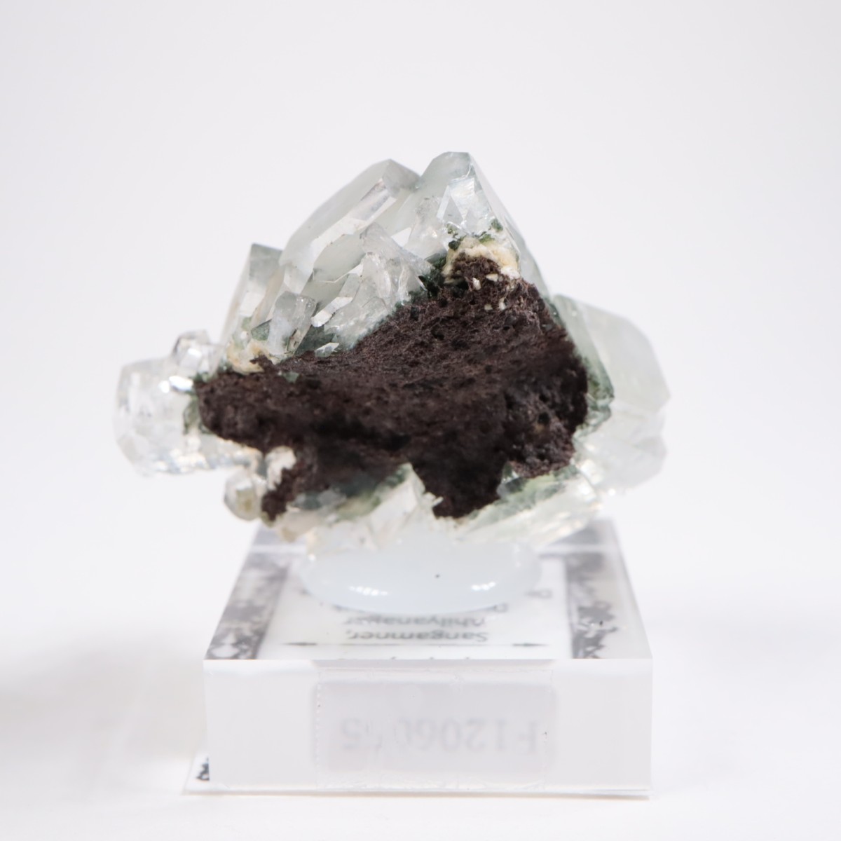 ����ɻ� ���ݥե��饤��