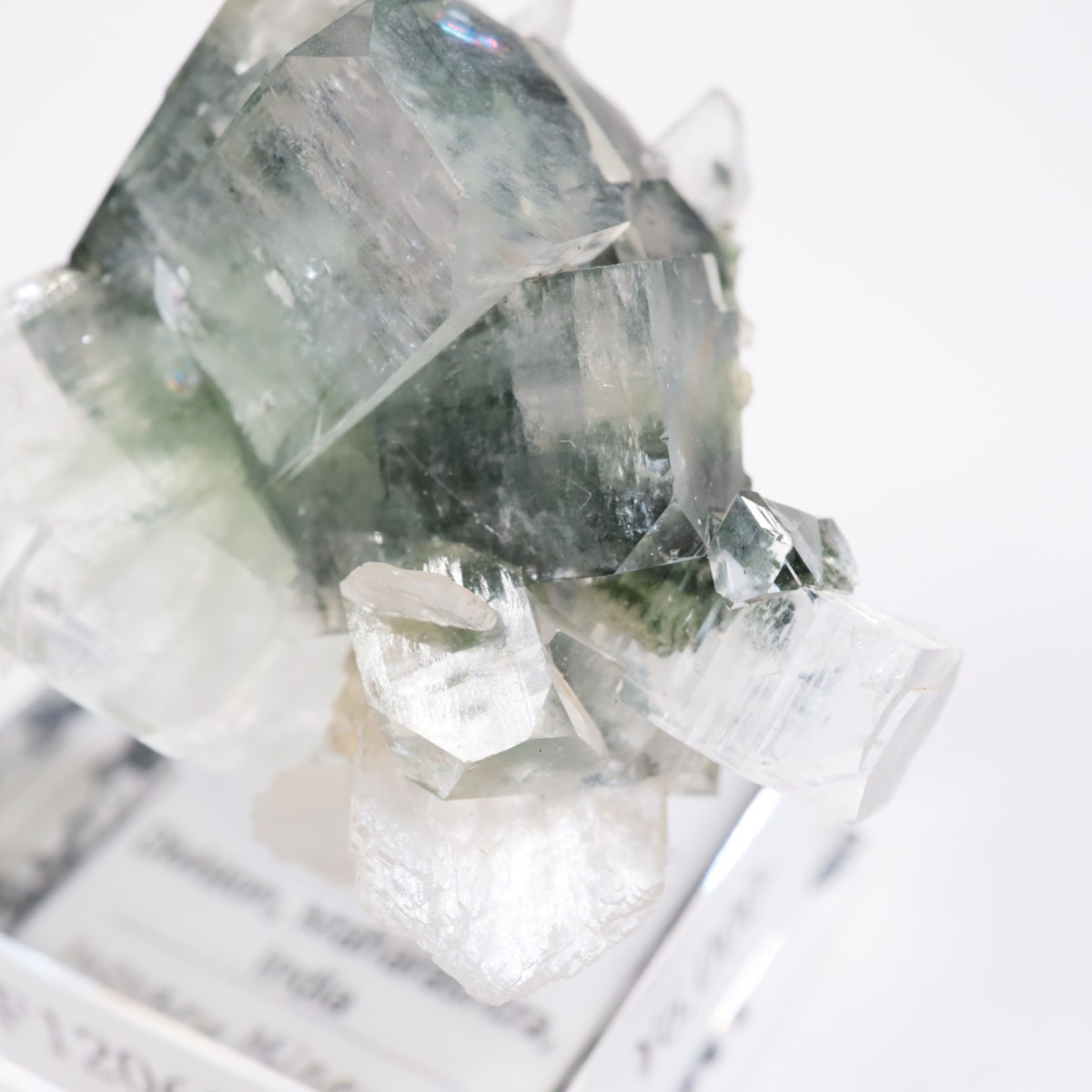 ����ɻ� ���ݥե��饤��