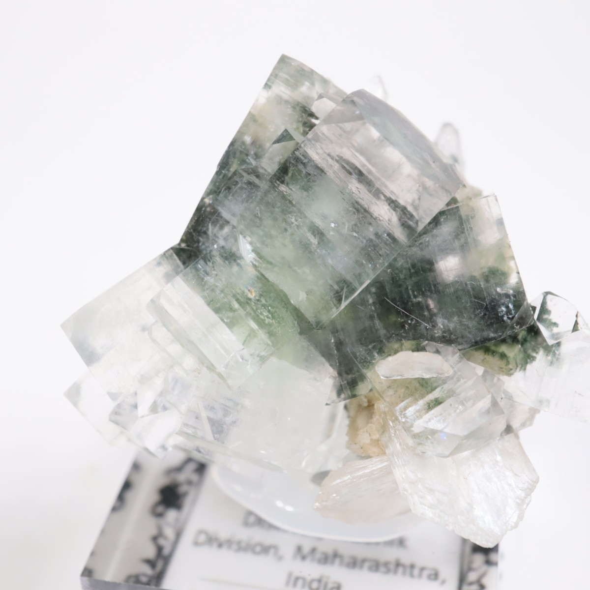 ����ɻ� ���ݥե��饤��