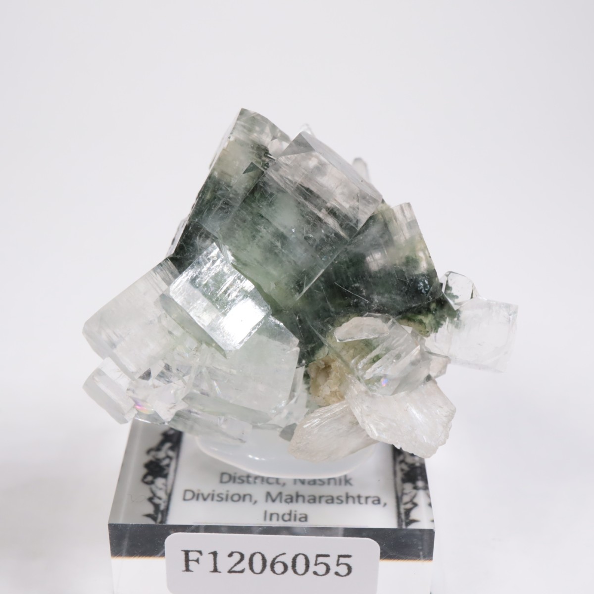 ����ɻ� ���ݥե��饤��