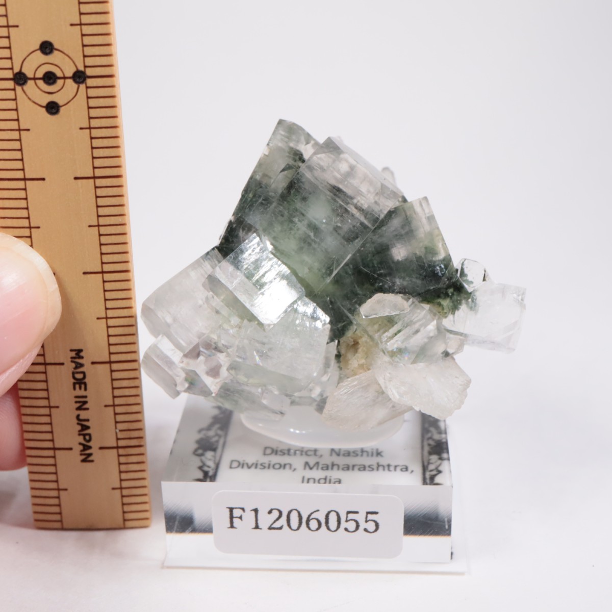 ����ɻ� ���ݥե��饤��