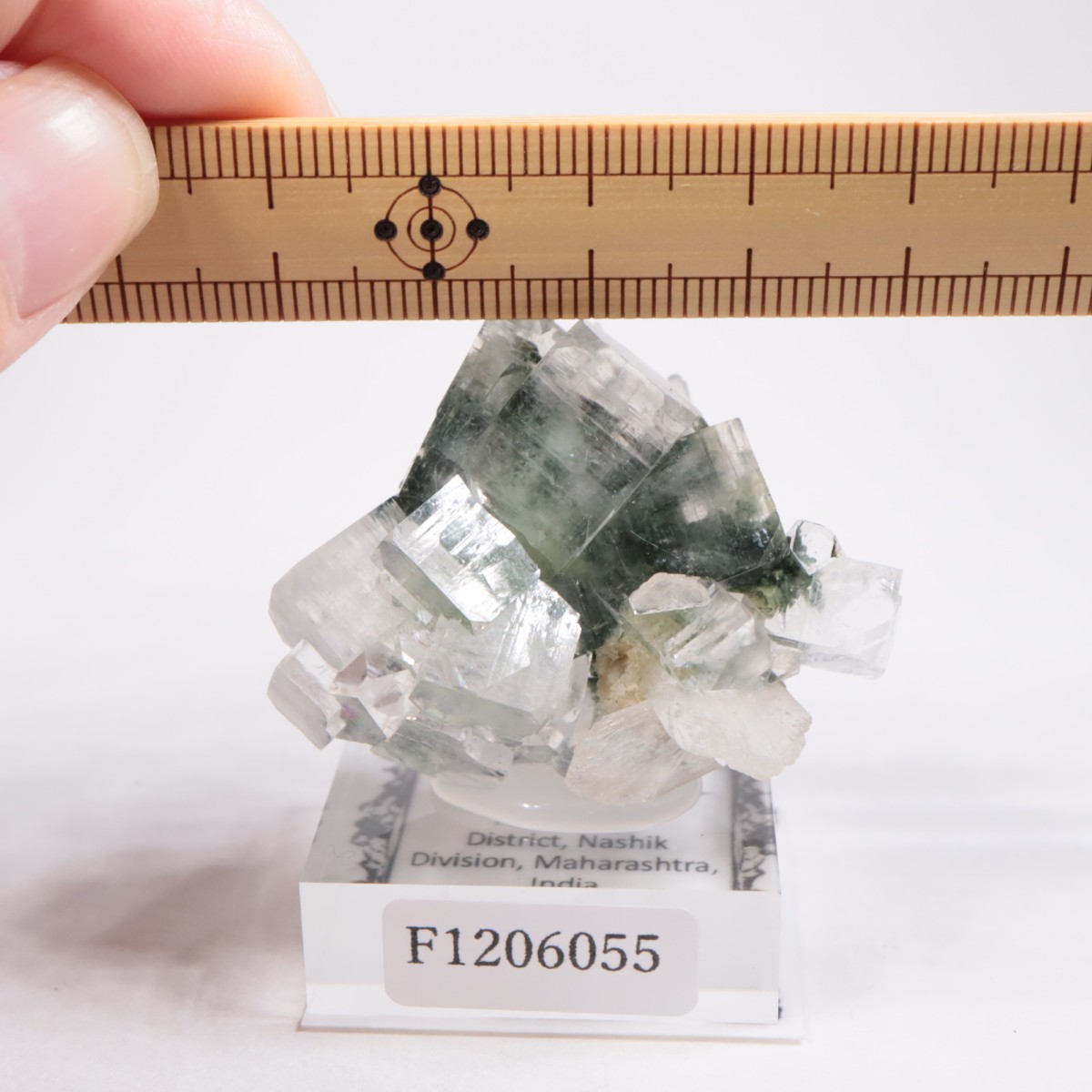 ����ɻ� ���ݥե��饤��