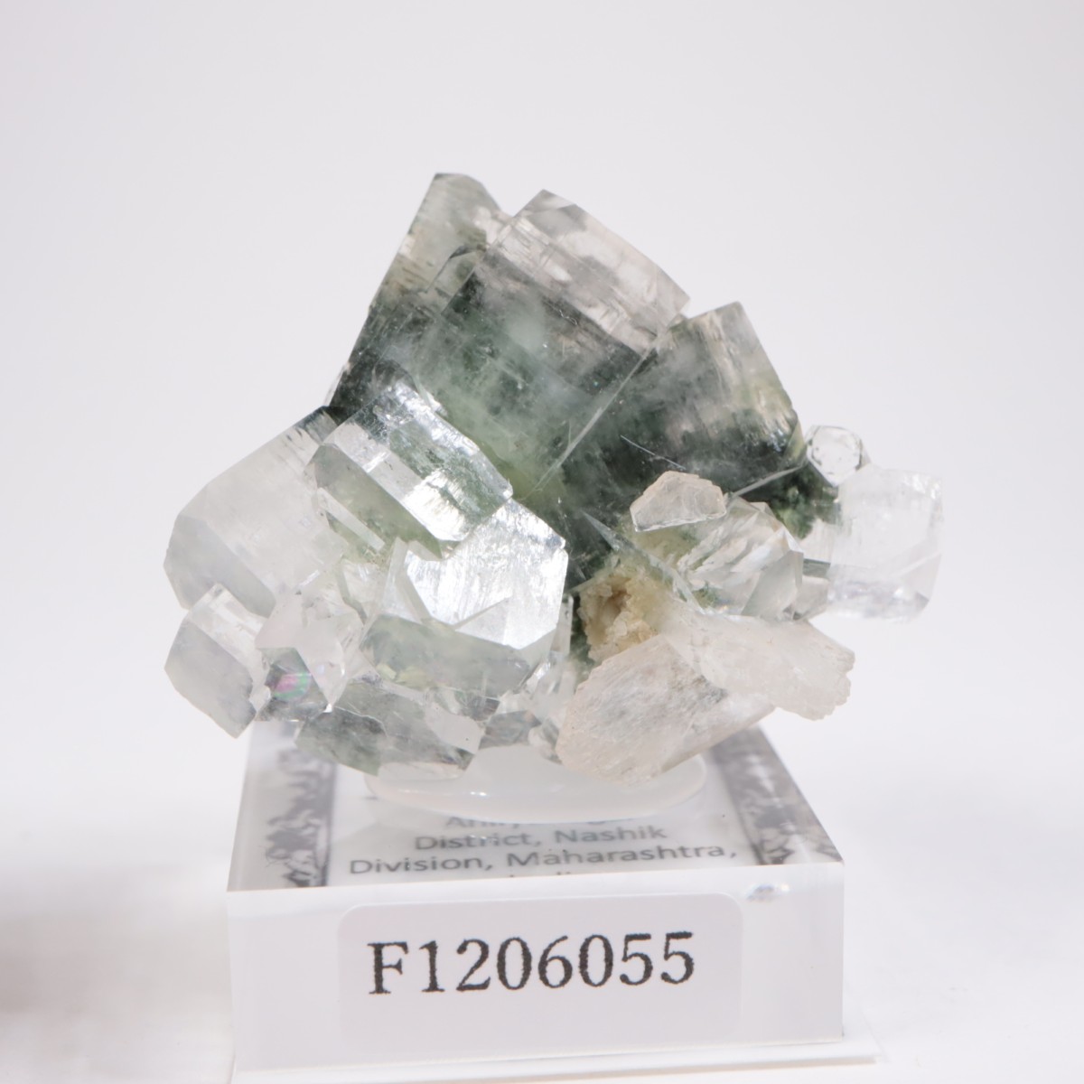 ����ɻ� ���ݥե��饤��