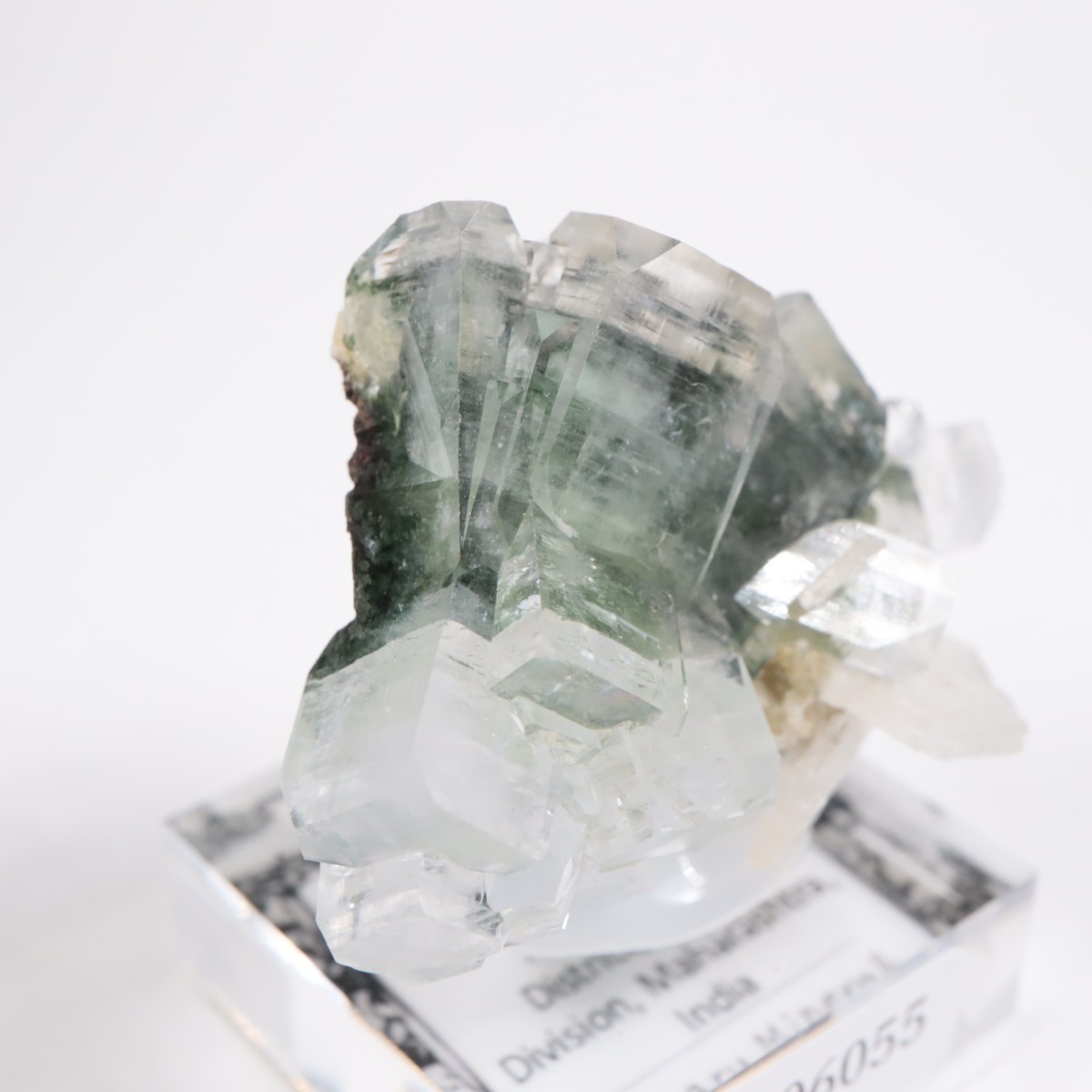 ����ɻ� ���ݥե��饤��