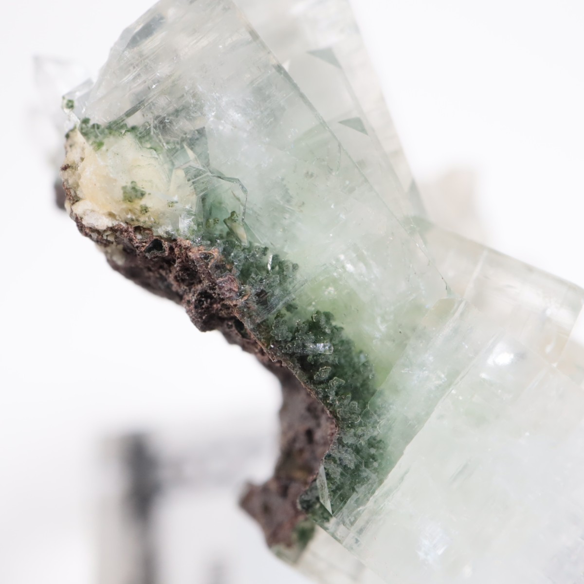 ����ɻ� ���ݥե��饤��