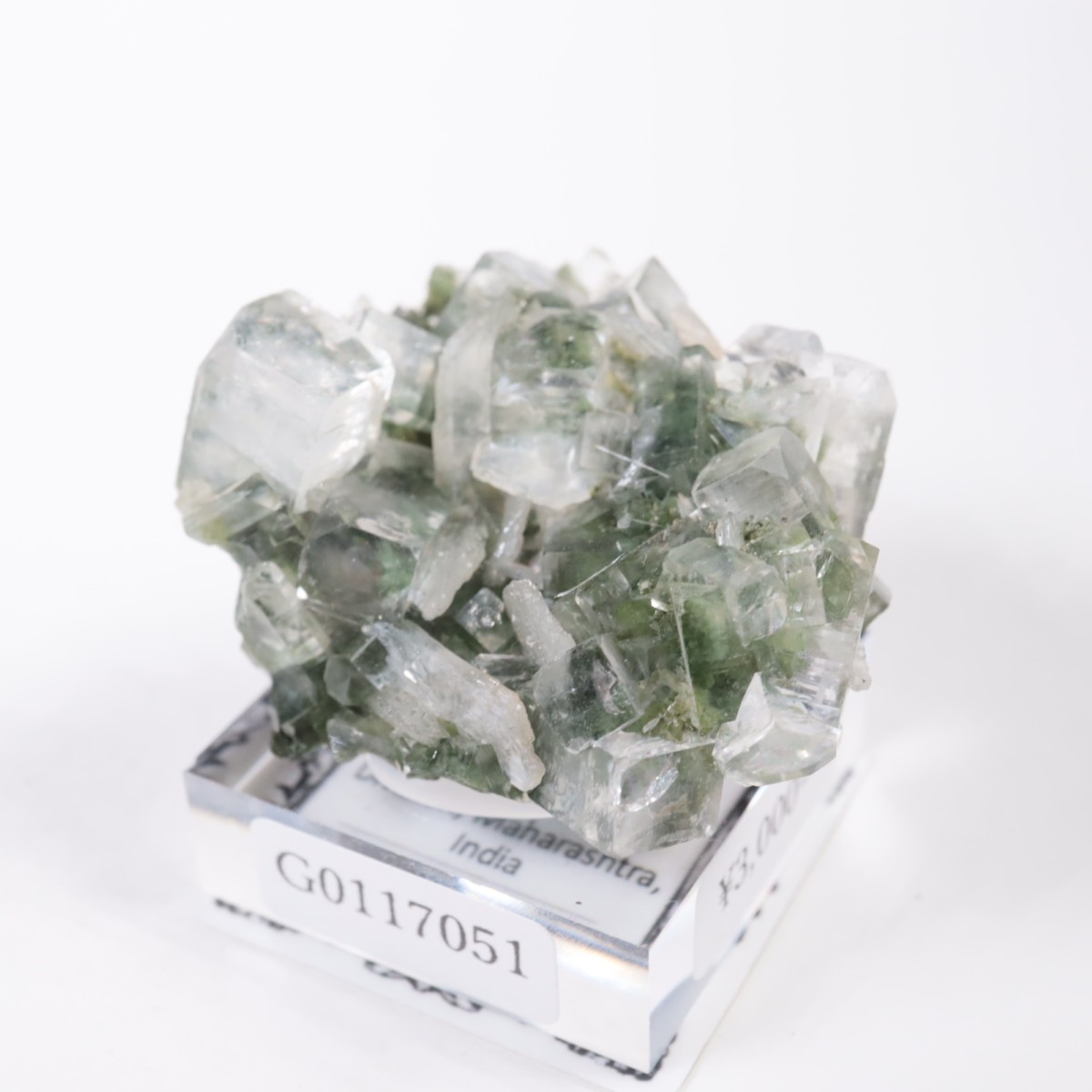 ����ɻ� ���ݥե��饤��