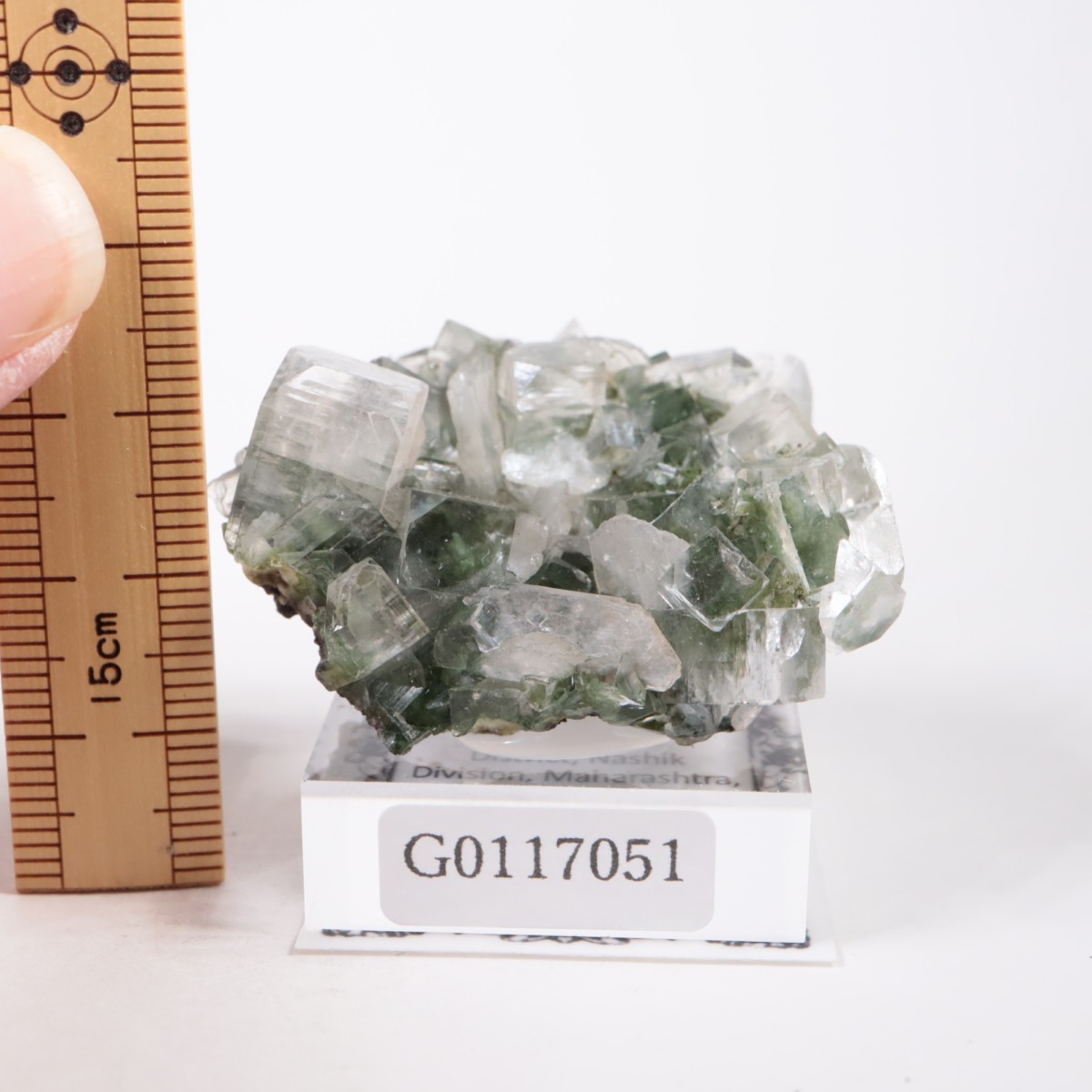 ����ɻ� ���ݥե��饤��