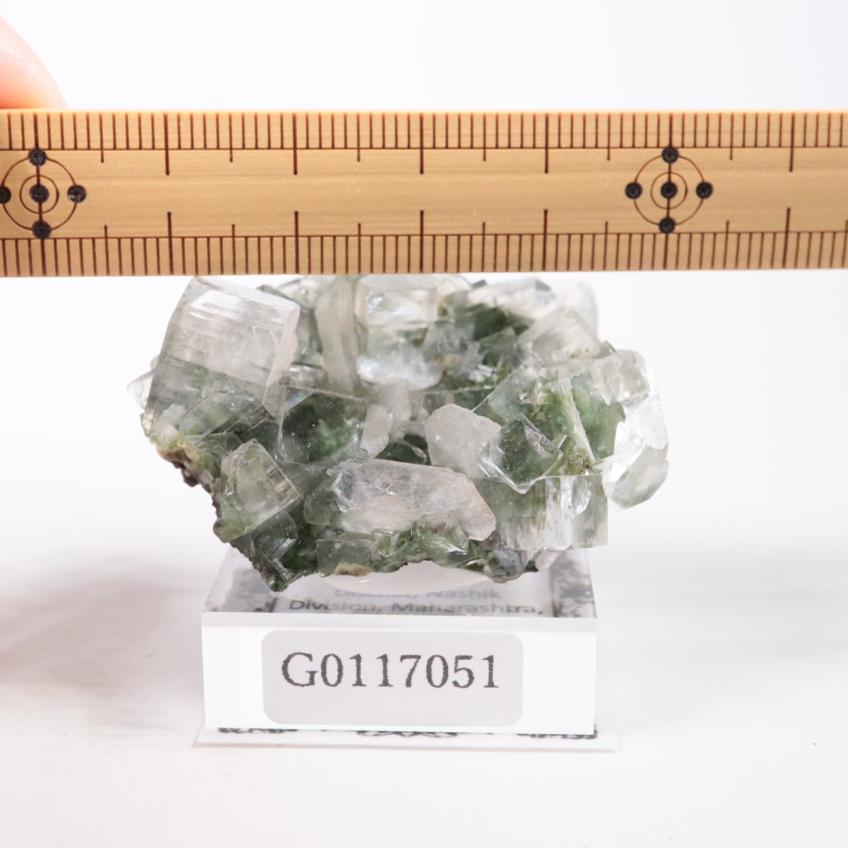 ����ɻ� ���ݥե��饤��