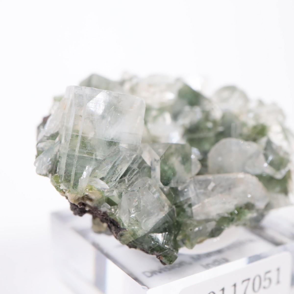 ����ɻ� ���ݥե��饤��