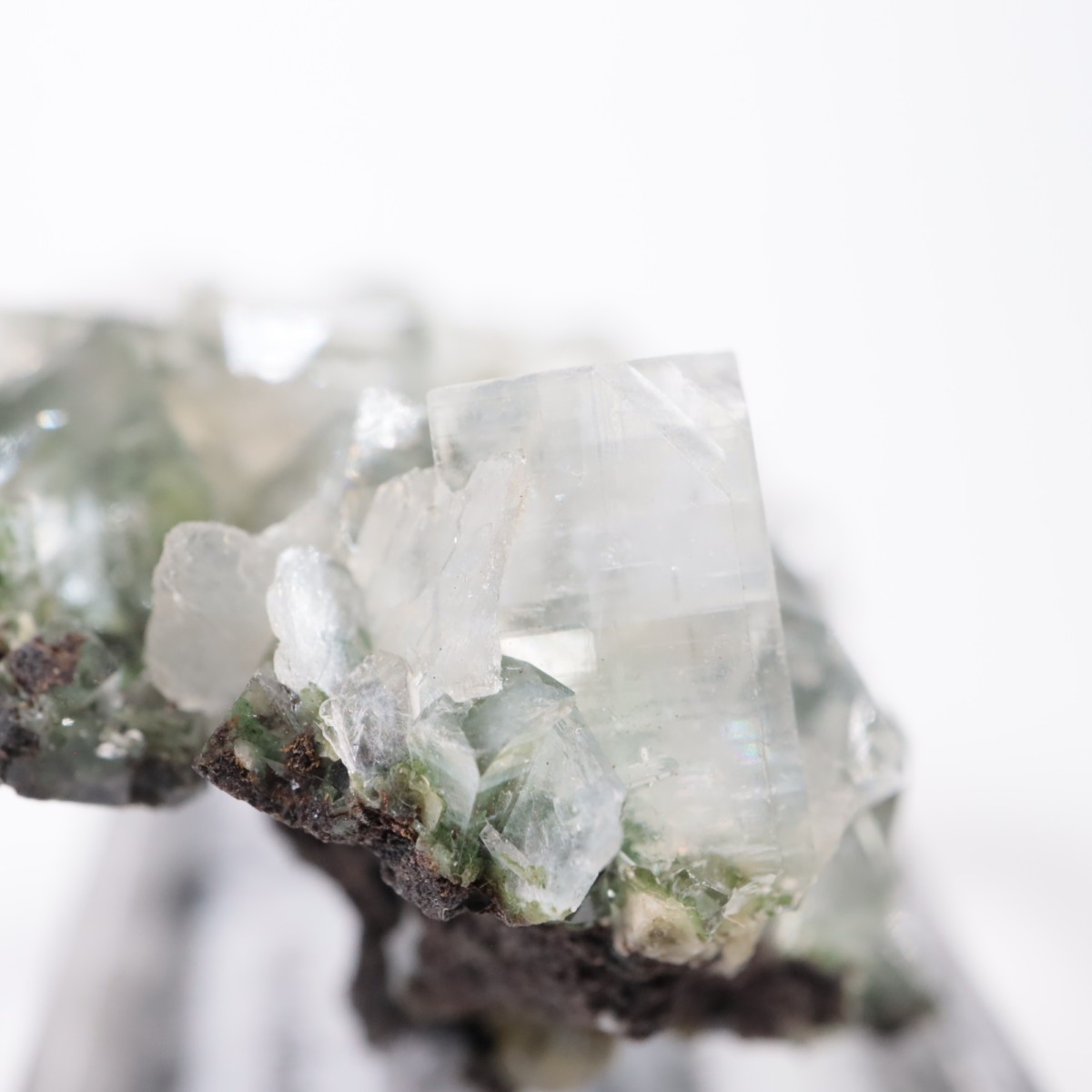 ����ɻ� ���ݥե��饤��