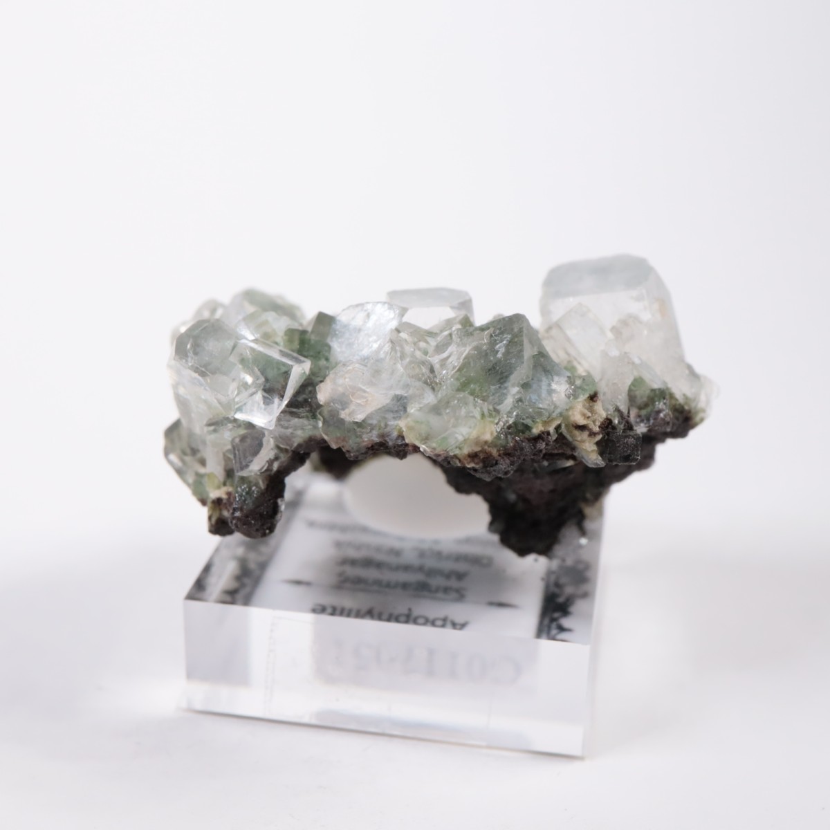 ����ɻ� ���ݥե��饤��