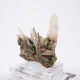 �ڥ롼�� �������ġ����ԥɡ���