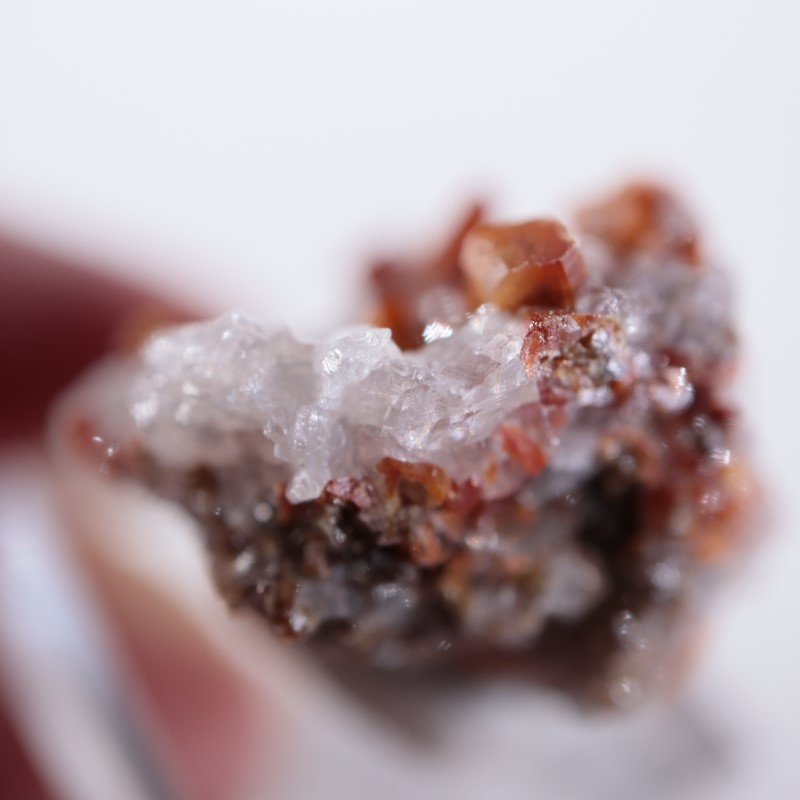 �ᥭ���������Хʥǥ��ʥ��ȡ����륵����