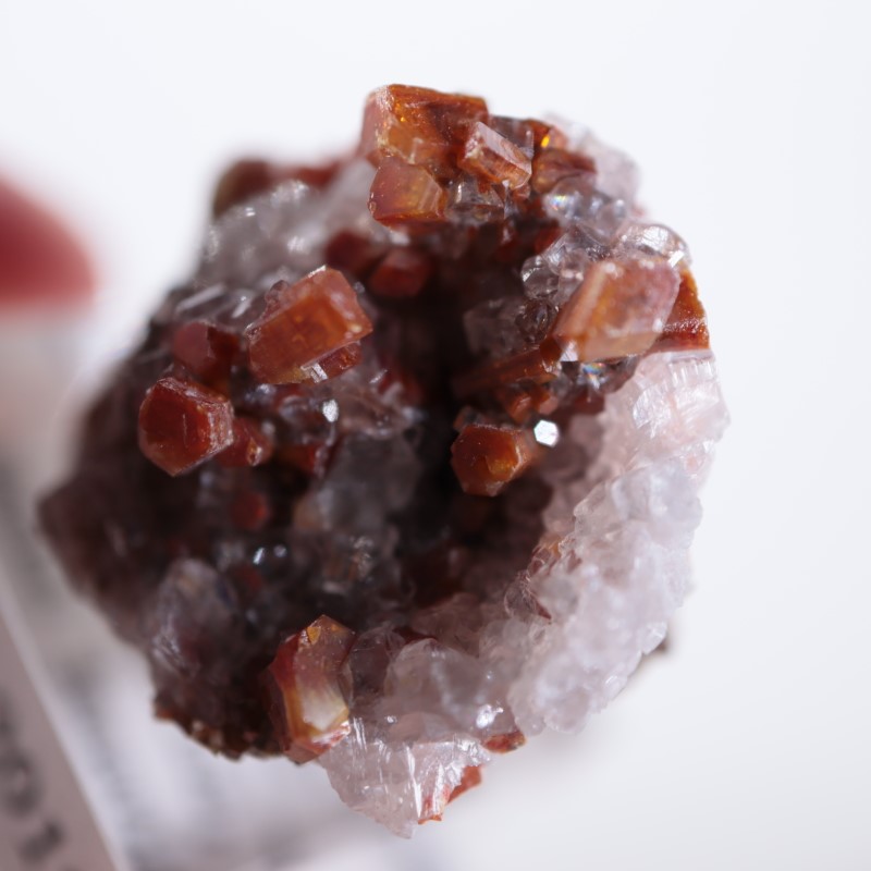 �ᥭ���������Хʥǥ��ʥ��ȡ����륵����