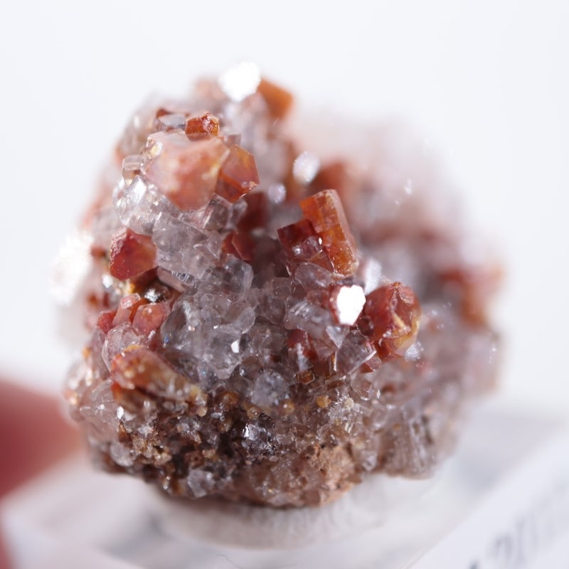 �ᥭ���������Хʥǥ��ʥ��ȡ����륵����